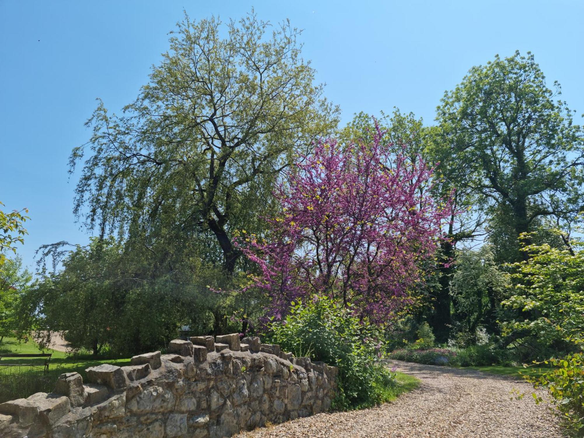 Glyndwr Vineyard Hotel คาวบริดจ์ ภายนอก รูปภาพ